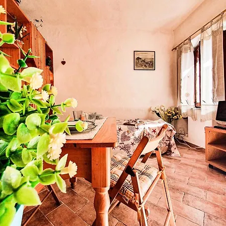 Loft Adriana City Center